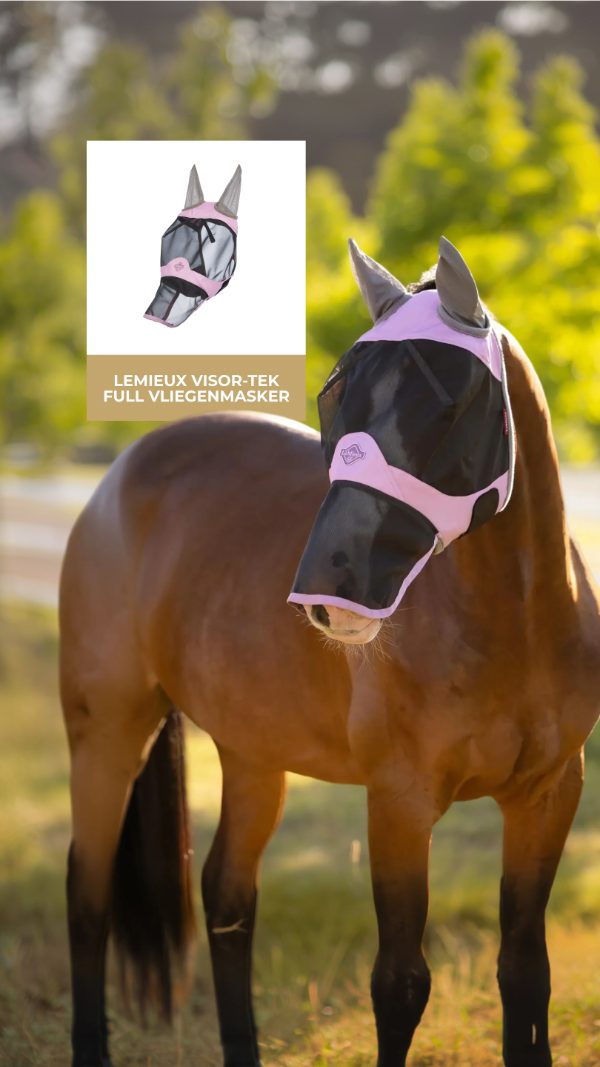 LeMieux Visor-Tek fly mask