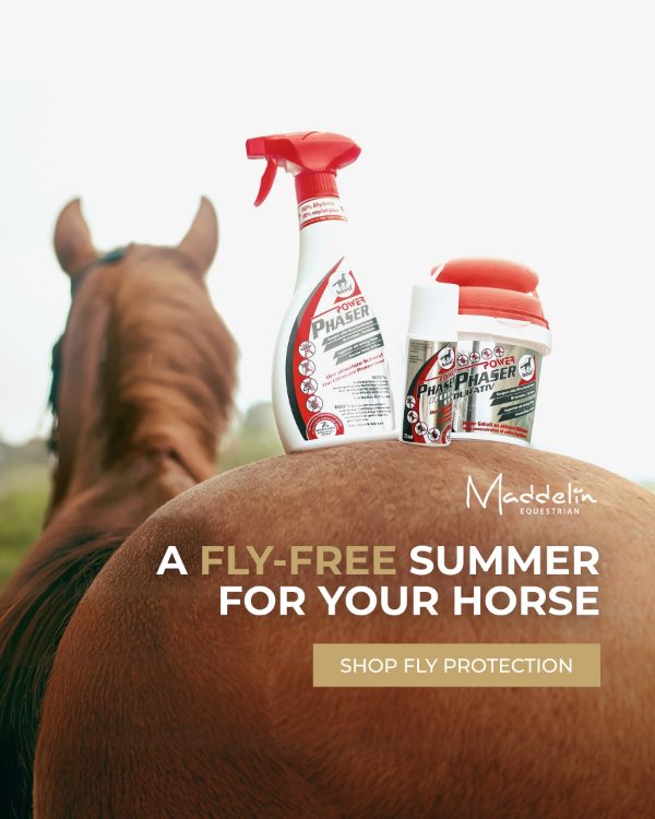 Maddelin — A fly-free summer for your horse